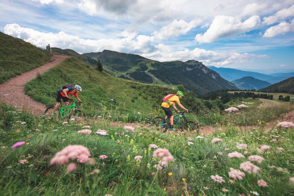 Mountain Bike a Pampeago  (foto @ F. Modica)