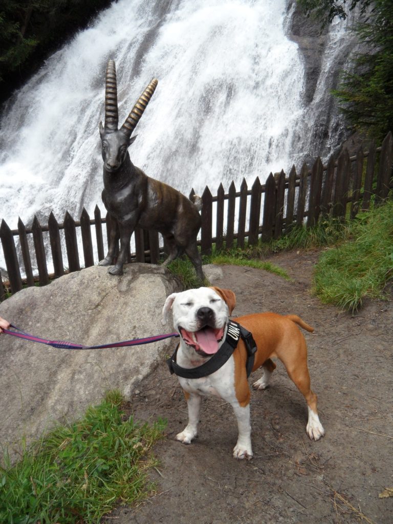 Foto @ Paolo Cauduro