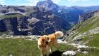 Shiva verso il rifugio Puez in Alta Badia. Foto @ Monica Garbarino