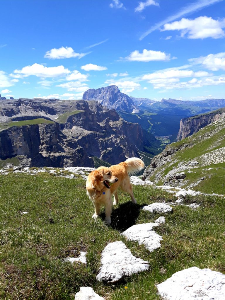 Shiva verso il rifugio Puez in Alta Badia. Foto @ Monica Garbarino