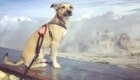 Dobby, che in montagna si trasforma in uno stambecco. Foto @ Ema Danielova