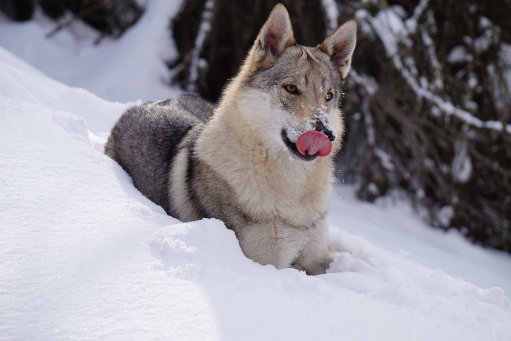 kenya. Foto @ Stefano Famlonga