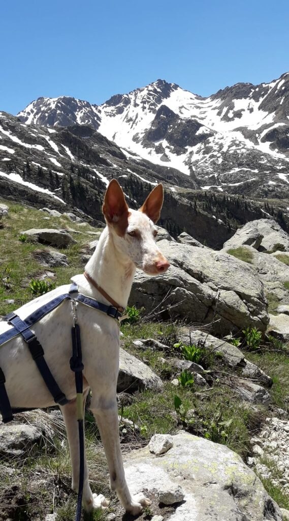 Foto @ Beatrice Olivero