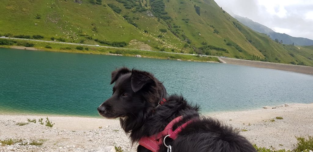 Foto @ Patrizia Lodi