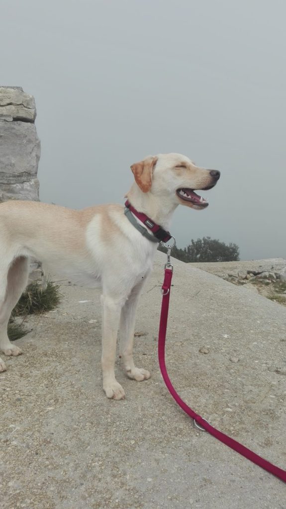 Foto @ Miriam Piazza