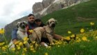 Anuk e Noshi al Passo Pordoi. Foto @ Gabriele Rubert