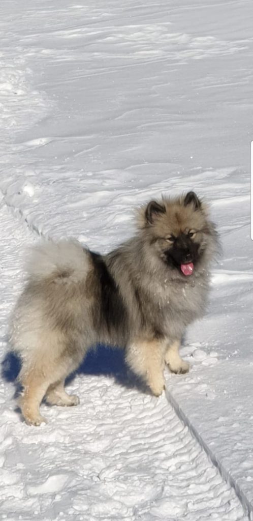 Margot a Santa Caterina Valfurva. Foto @ Elena Vicini