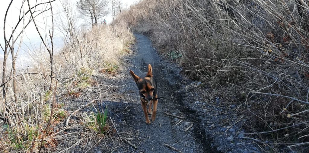 Maya sul Vesuvio. Foto @ Dora Giugliano