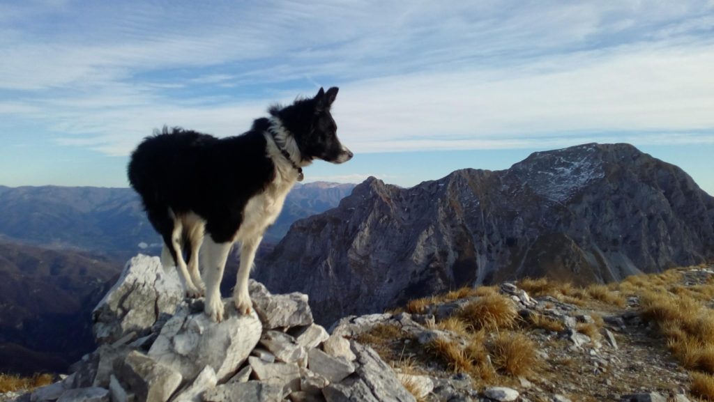 Stella, sul monte Corchia, Alpi Apuane. Foto @ Luca Serra