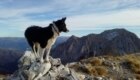 Stella, sul monte Corchia, Alpi Apuane. Foto @ Luca Serra