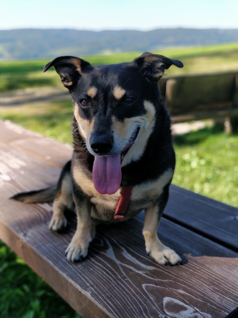 Foto @ Cristina Volpato