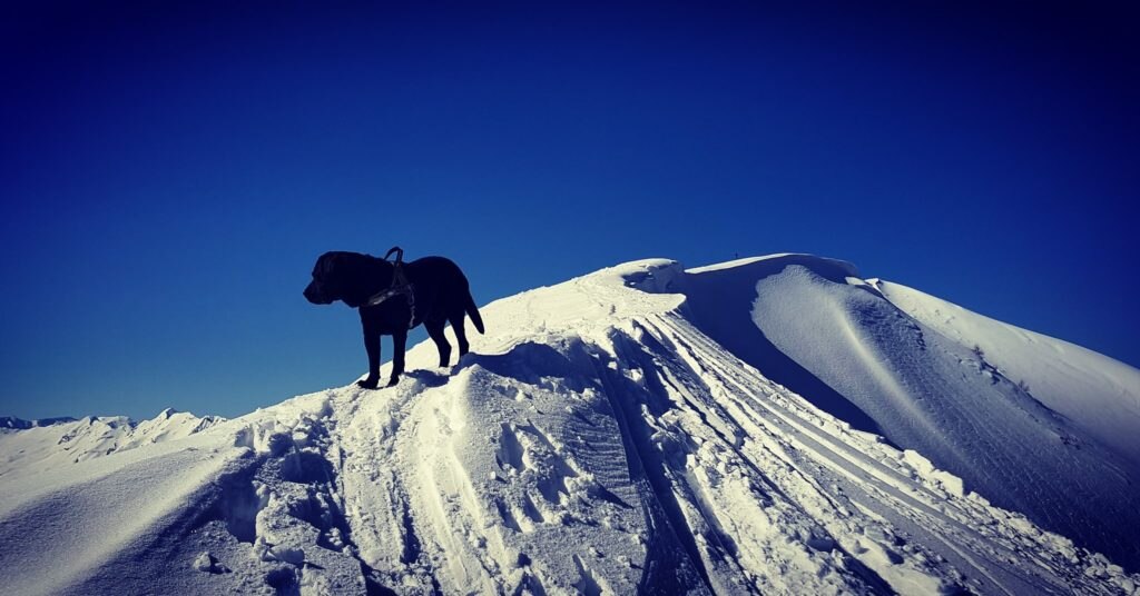 Sky. Foto @ Paolo Ramponi