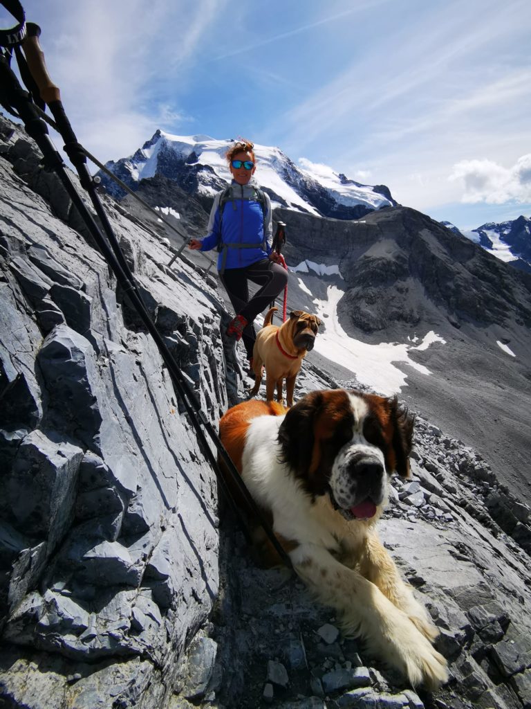 Quota 3029, alle spalle ghiacciaio dell