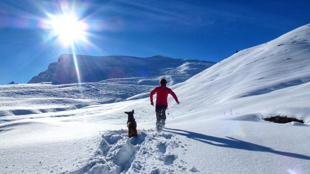 Foto @ Marco Pozzato 