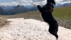 Freud al mMonte Möt sopra Livigno. foto @ Mariagrazia Colombo
