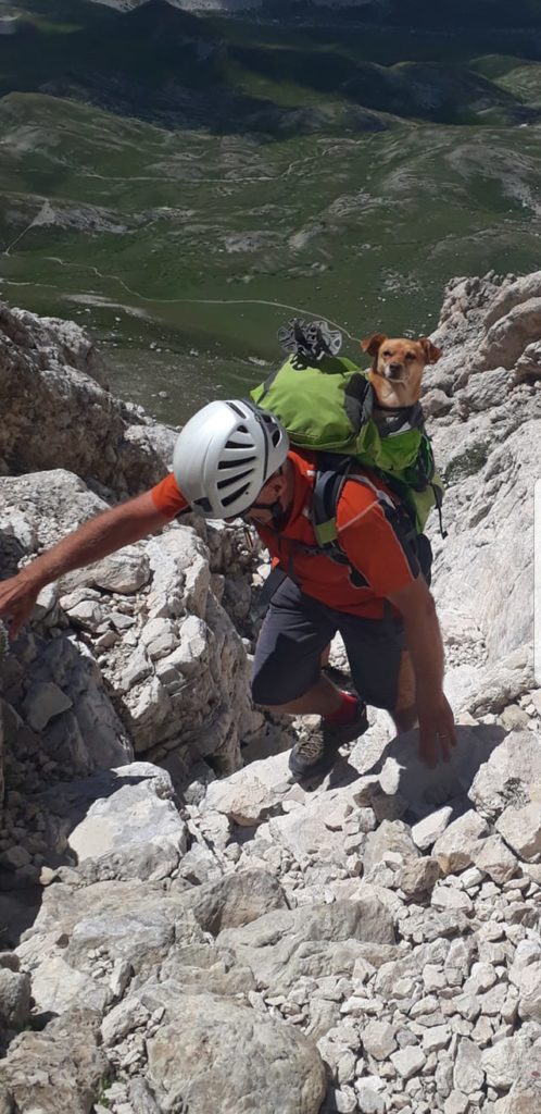 "Non è il mio, ma non potevo non fotografarlo!!!". 
Direttissima al Corno Grande, Gran Sasso. Foto @ Danilo Pinna