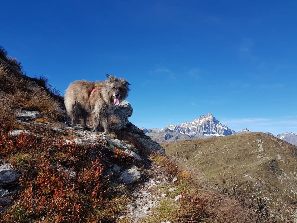 Con il re di Pietra. Foto @ Ada Gonella