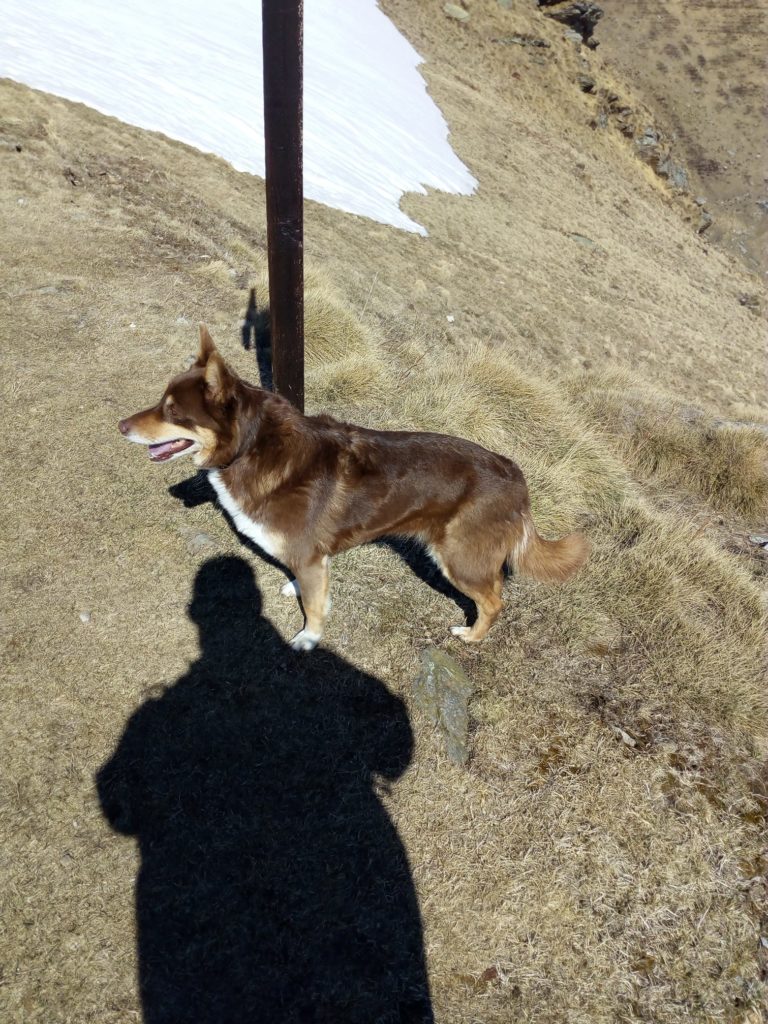 Molly. Foto @ Diego Audrito 