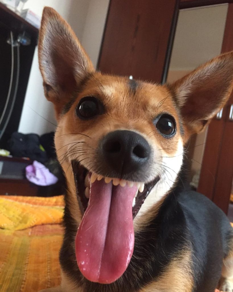 Foto @ Davide Ruffini
