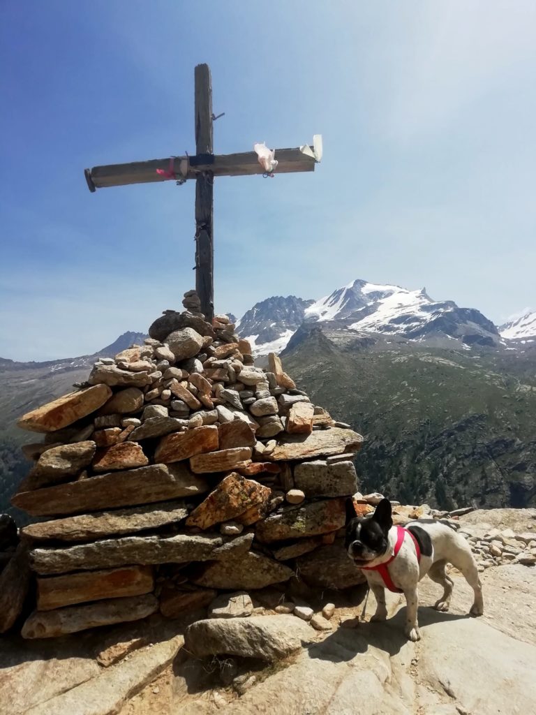 Sophie, Croce di Arolley nel Parco Nazionale del Gran Paradiso. Foto @ Stefania Ceretto Giannone