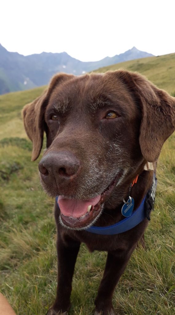 Coriandolo. Foto @ Annamaria Gigli