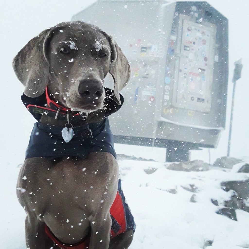 Edith in Grignetta. Foto @ Luca D