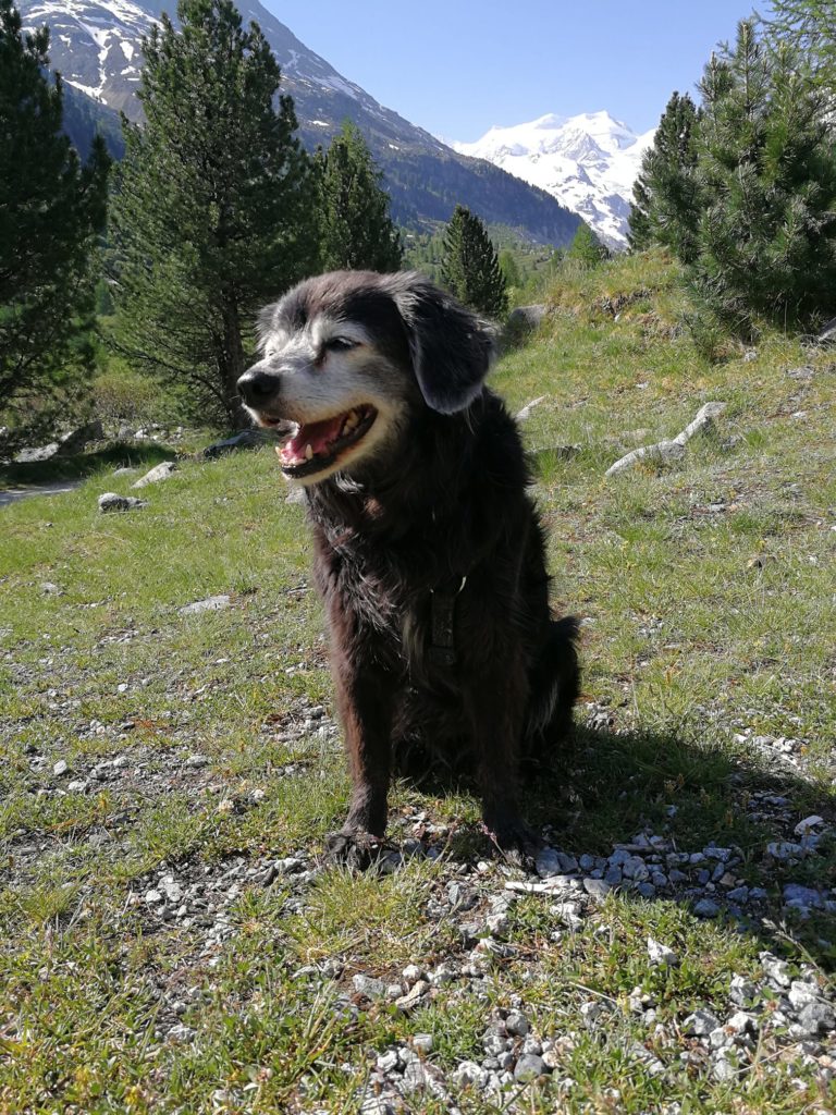 Minnie. Foto @ Rita Gasparini