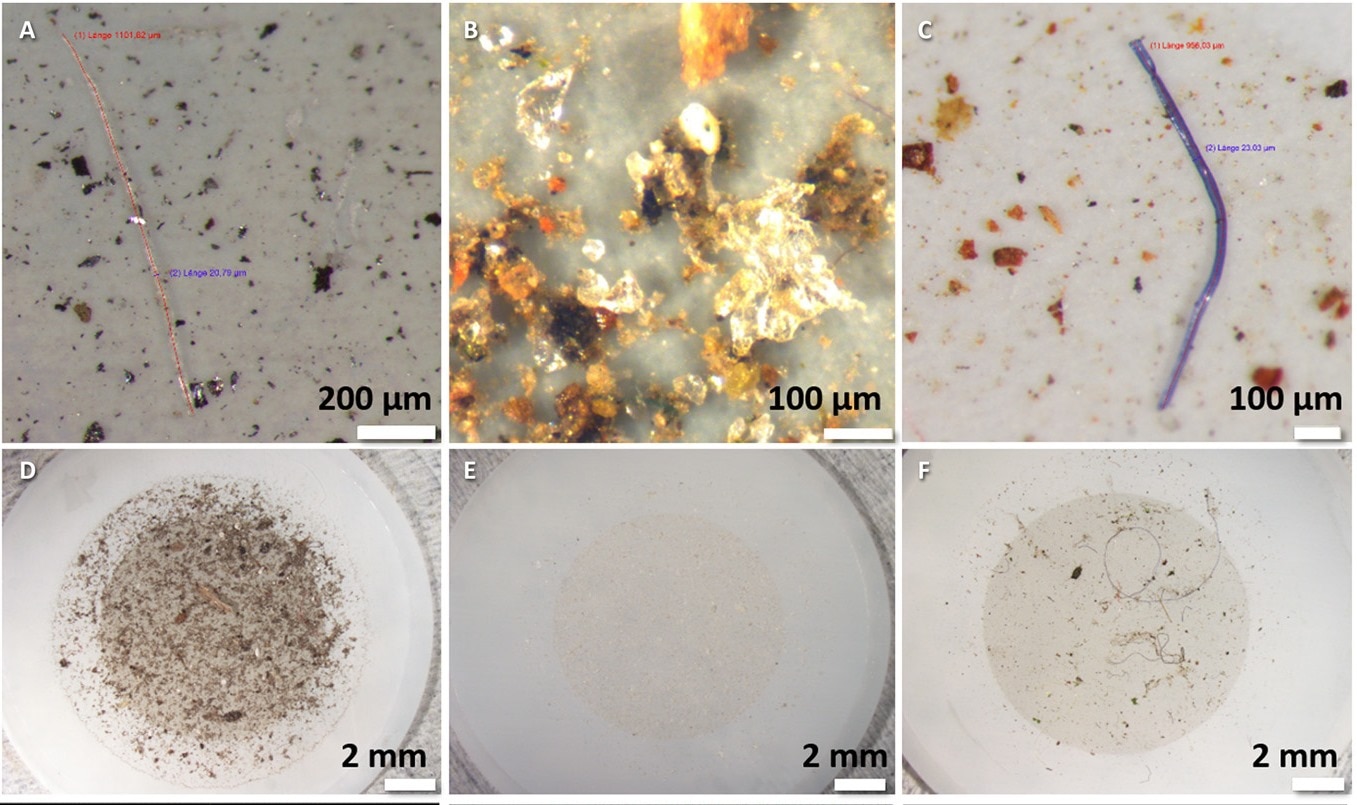 neve, microplastiche