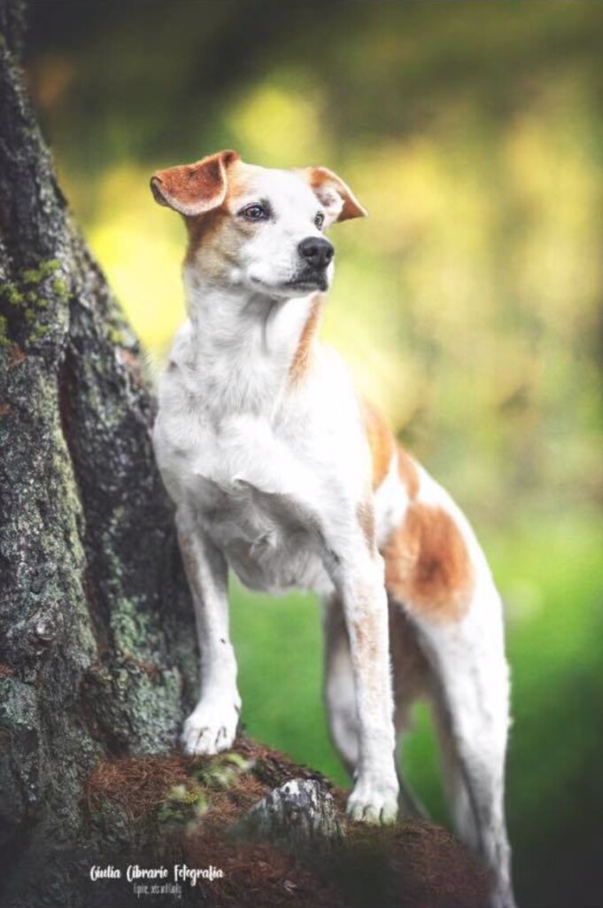 Dori. Foto @ Arabella Bianco Dolino