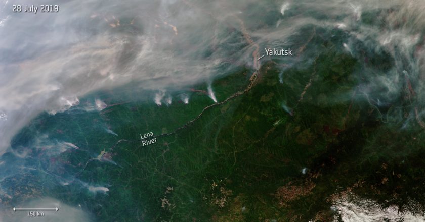 siberia, incendi, foreste, esa