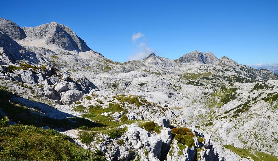 canin, foran del muss, col delle erbe