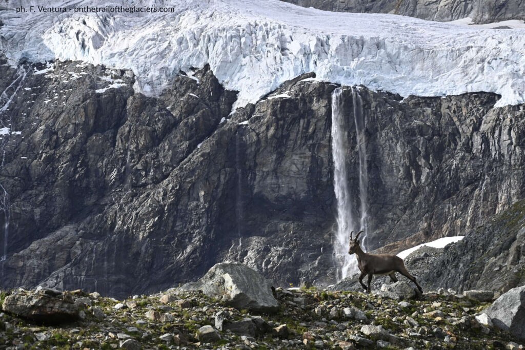 Pre-spedizione Alpi 2020. Foto archivio Fabiano Ventura