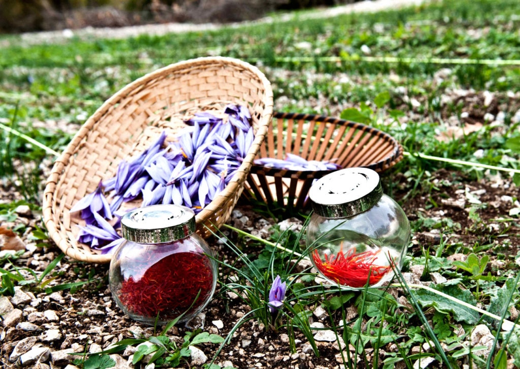 Fiori e zafferano nei barattoli