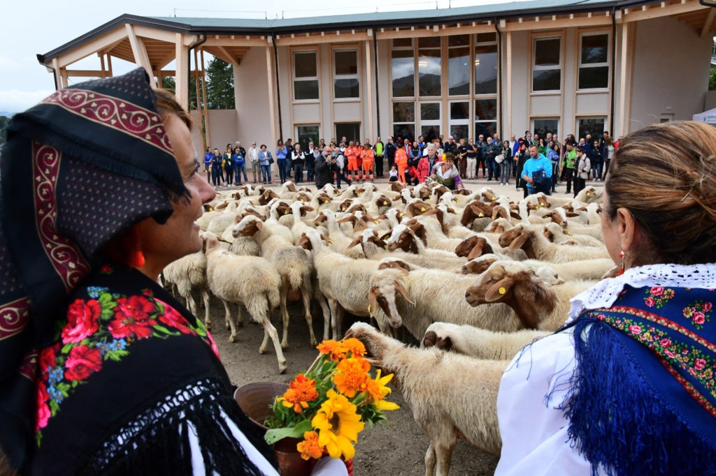 Arrivo delle pecore davanti alla Casa della Montagna