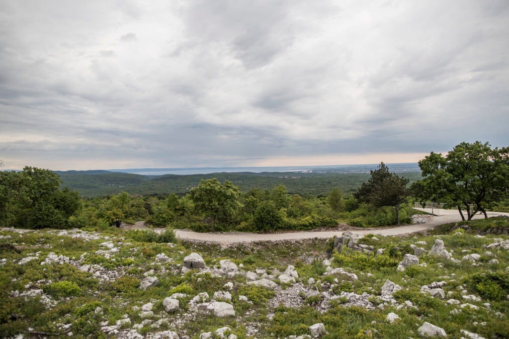 Dal Carso verso il mare © Michele Lotti