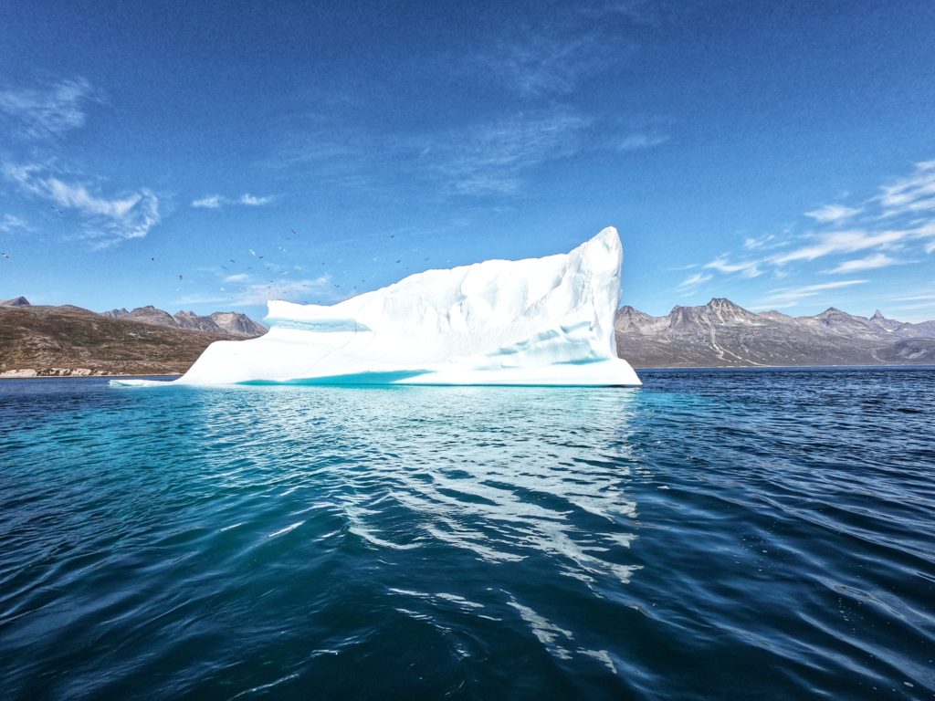 Foto archivio Federica Mingolla