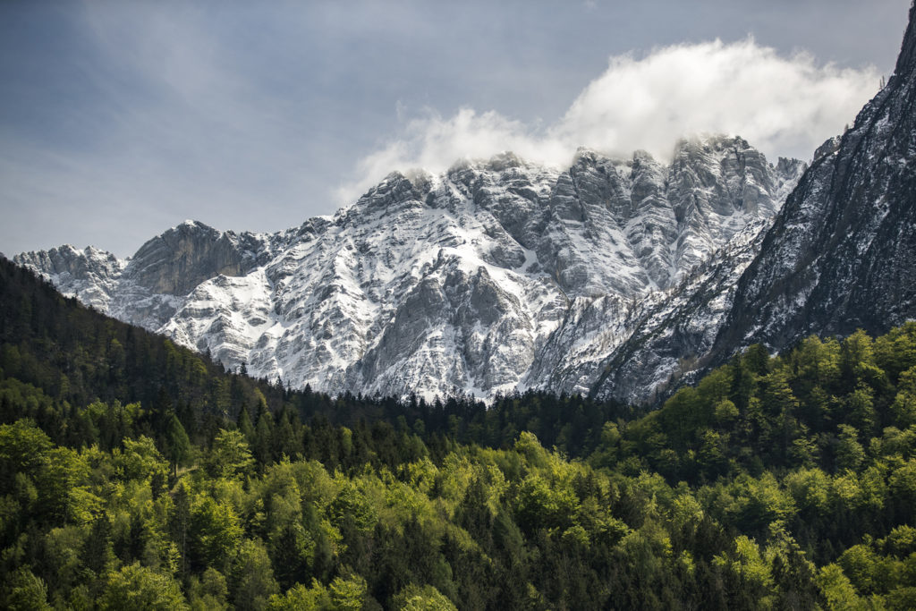 Tra le Alpi Giulie © Michele Lotti