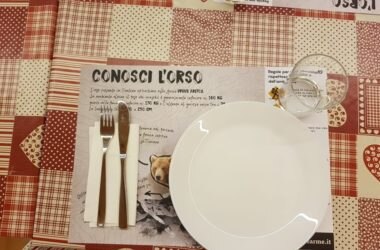 convivenza, orso, wwf trentino