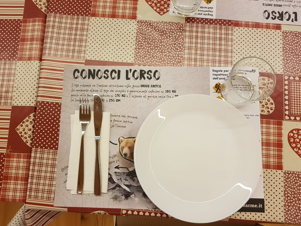 convivenza, orso, wwf trentino