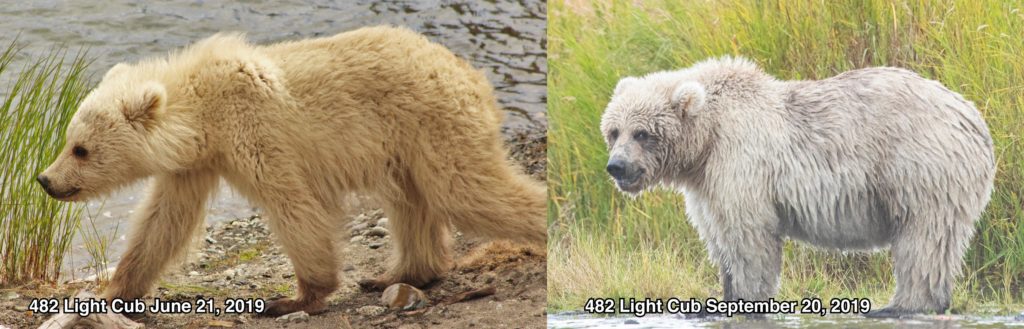 Foto @ Katmai National Park and Preserve