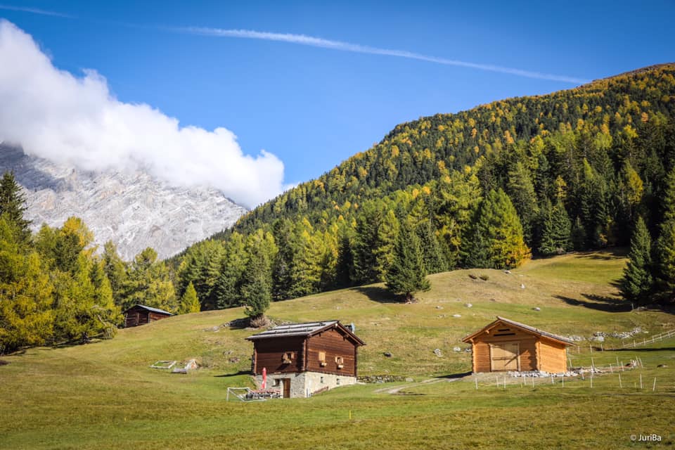 parco dello stelvio, carta europea turismo sostenibile
