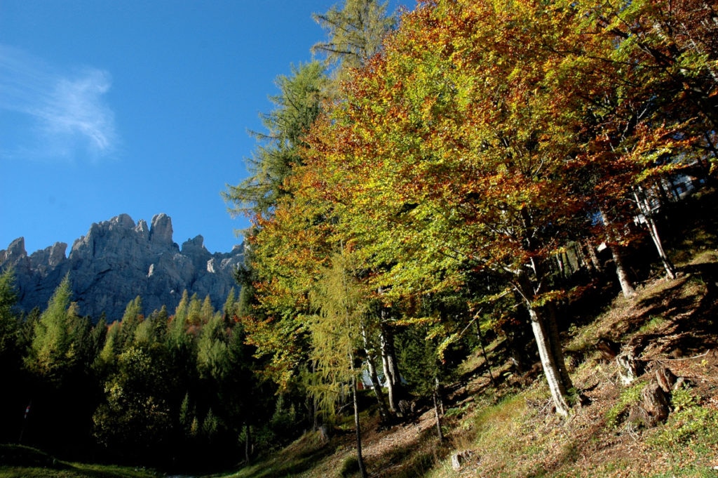 Dolomiti Friulane (FVG)