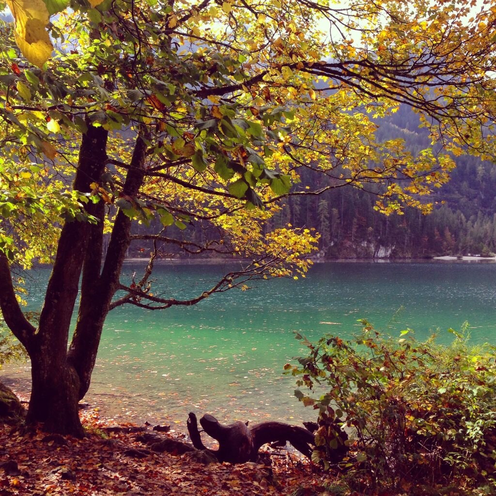 Foliage in Trentino. Foto @ Francesca Cortinovis