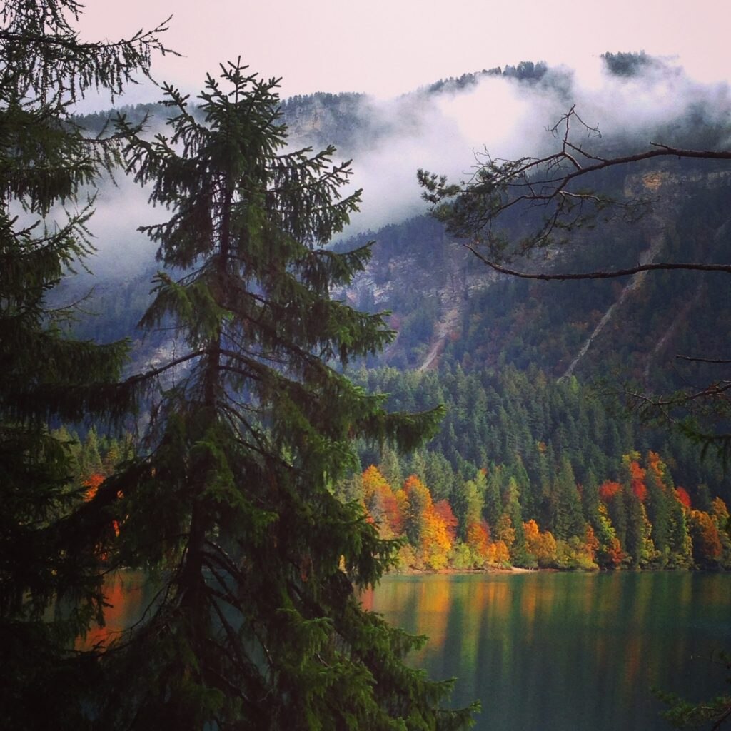 Foliage in Trentino. Foto @ Francesca Cortinovis 