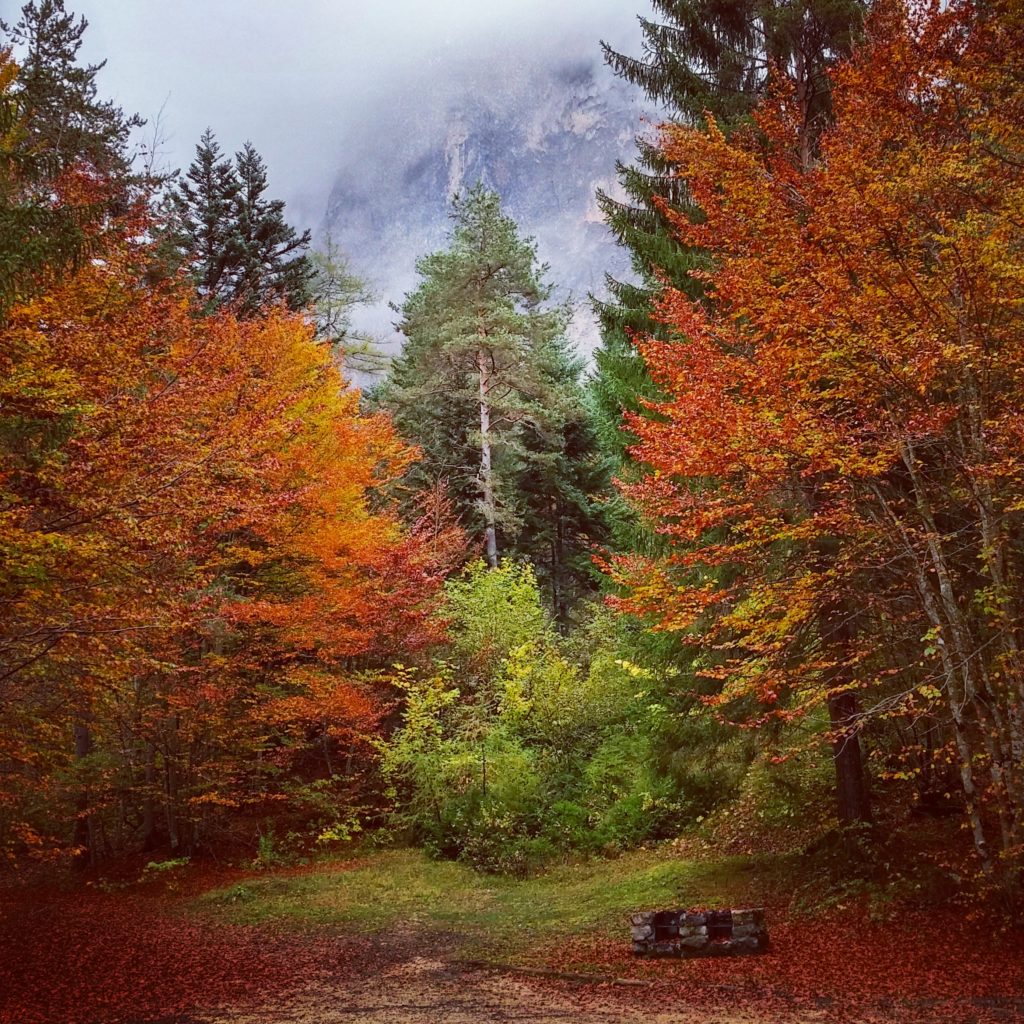 Foliage in Trentino. Foto @ Francesca Cortinovis