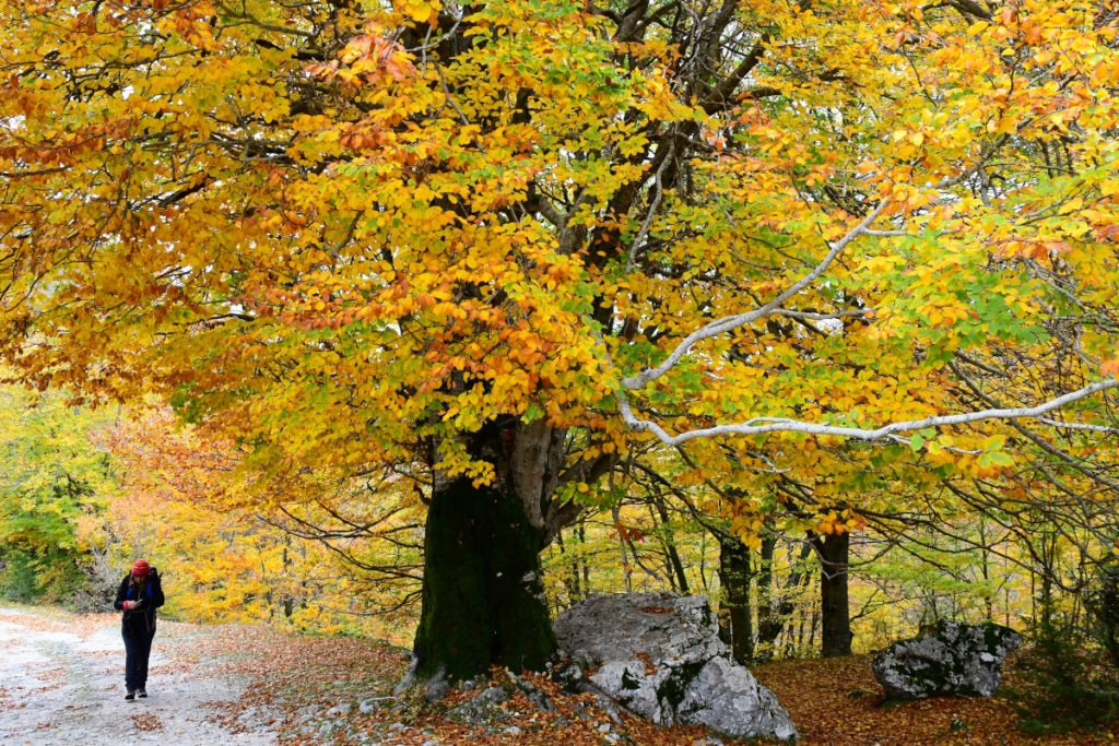 Val Fondillo, nel Parco d'Abruzzo, Lazio e Molise