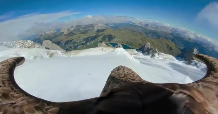victor, ghiacciai alpini