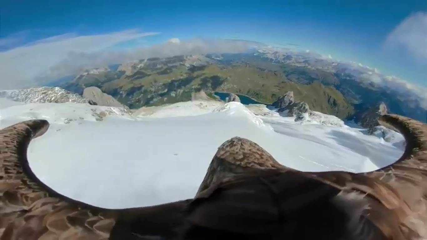 victor, ghiacciai alpini