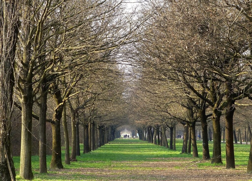 Parco Nord. Foto @ wikimedia commons 