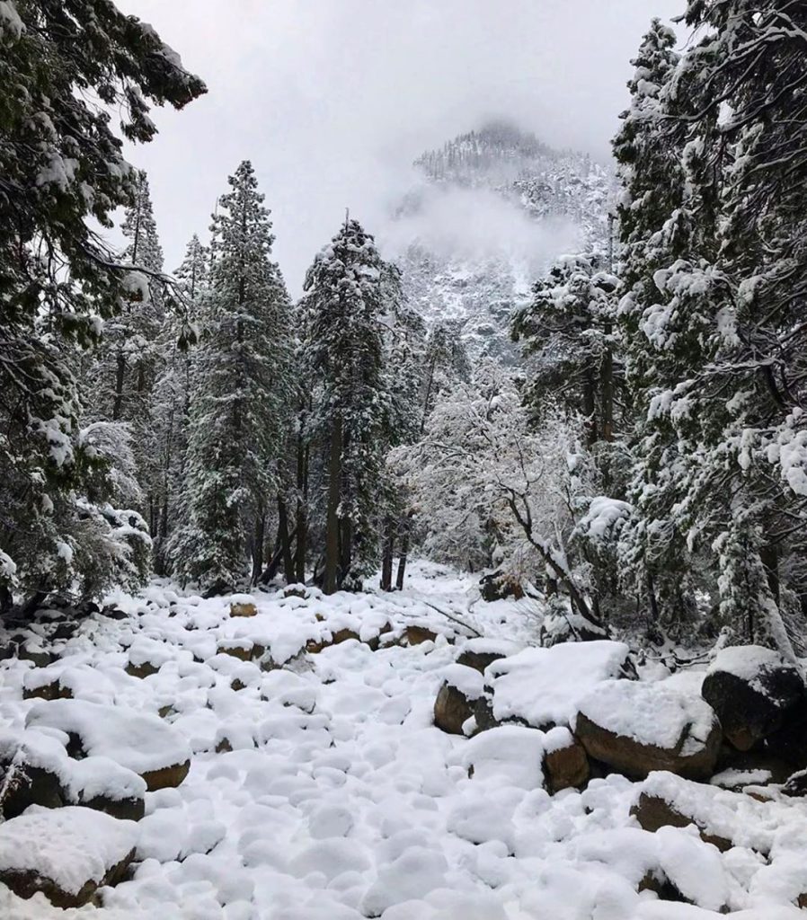 la neve ha ricoperto i sentieri a Yosemite - Foto Instagram Yosemite National Park